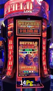 14Pg Bet