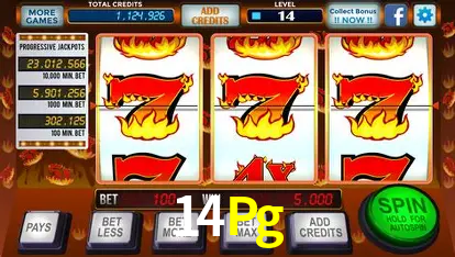14Pg